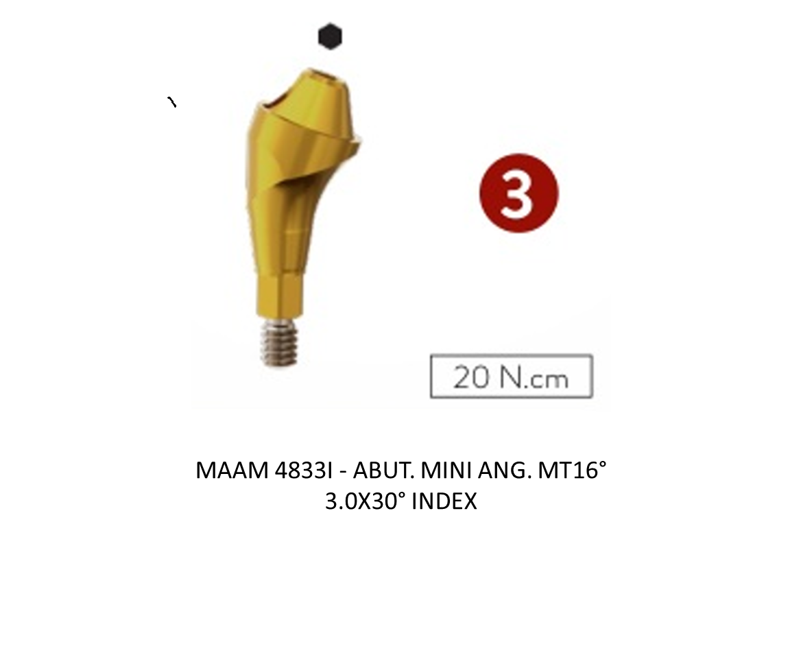 ABUT. MINI ANG. MT16° 3.0X30° INDEX