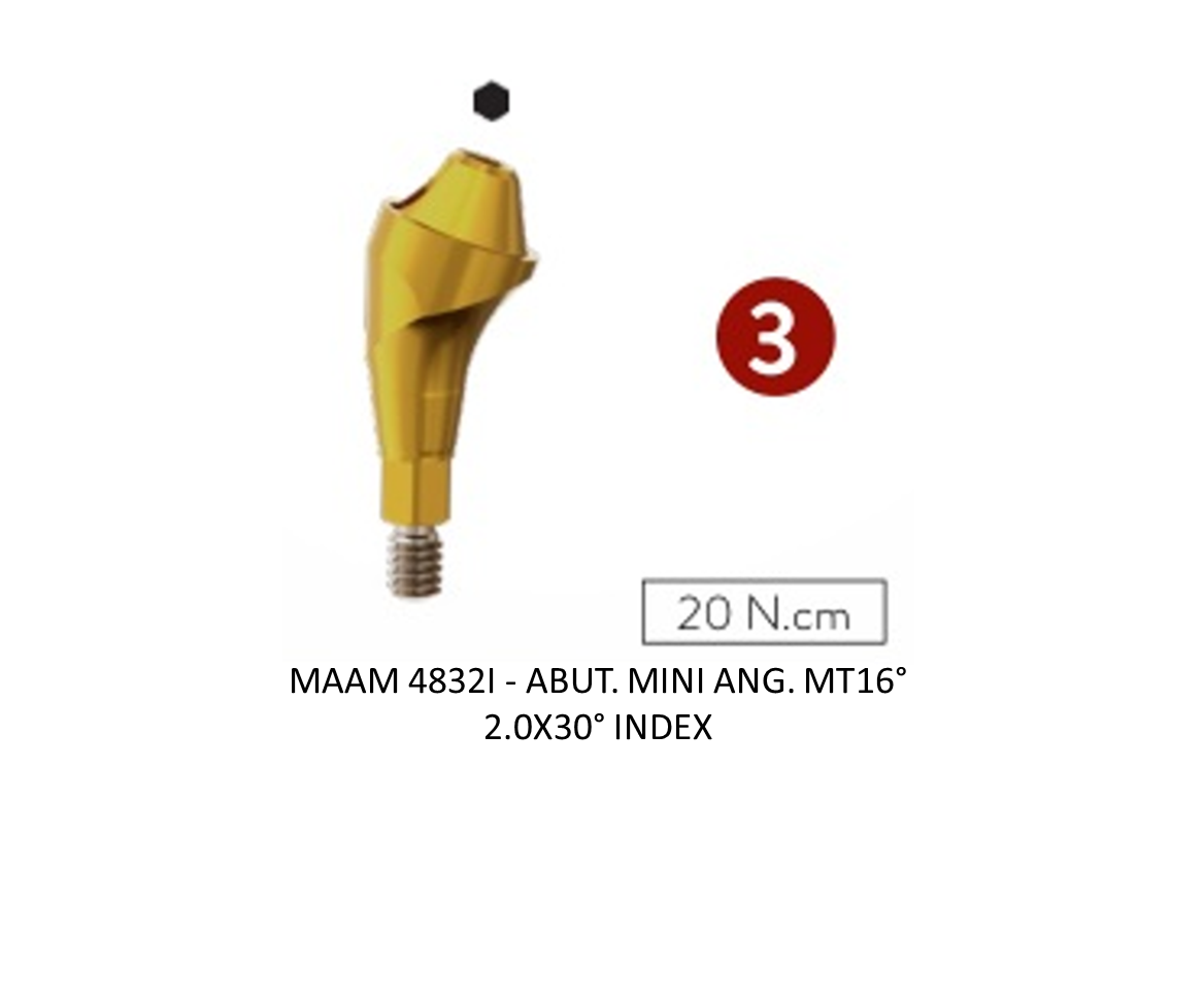 ABUT. MINI ANG. MT16° 2.0X30° INDEX