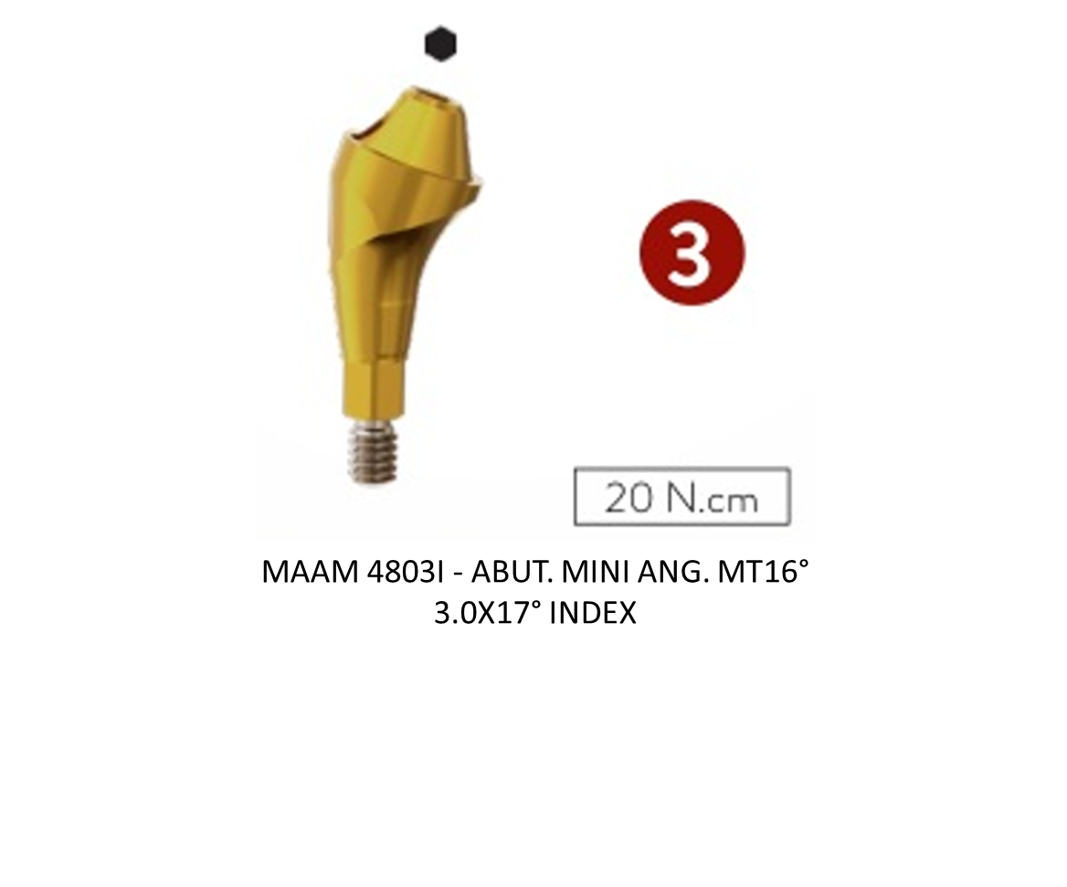 ABUT. MINI ANG. MT16° 3.0X17° INDEX