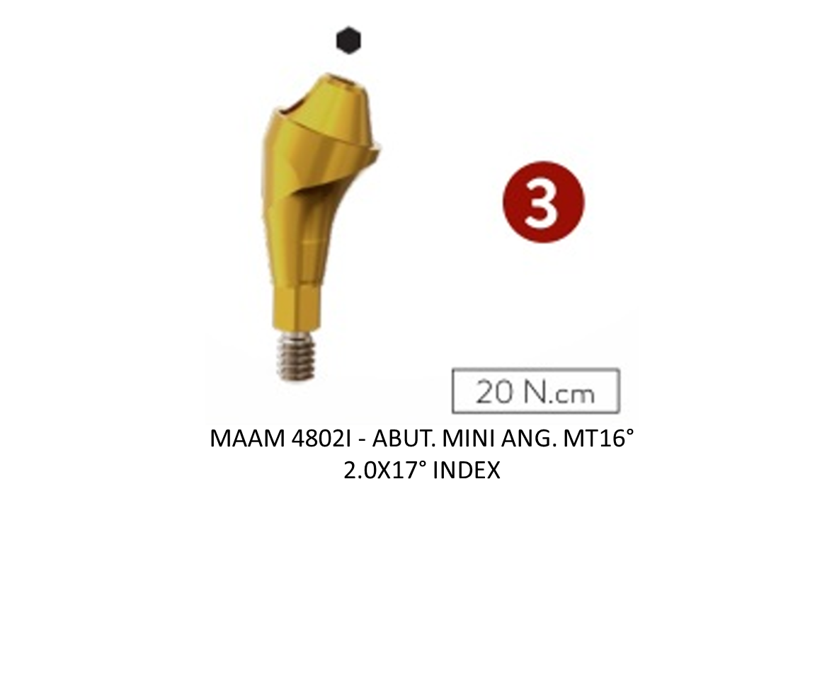 ABUT. MINI ANG. MT16° 2.0X17° INDEX
