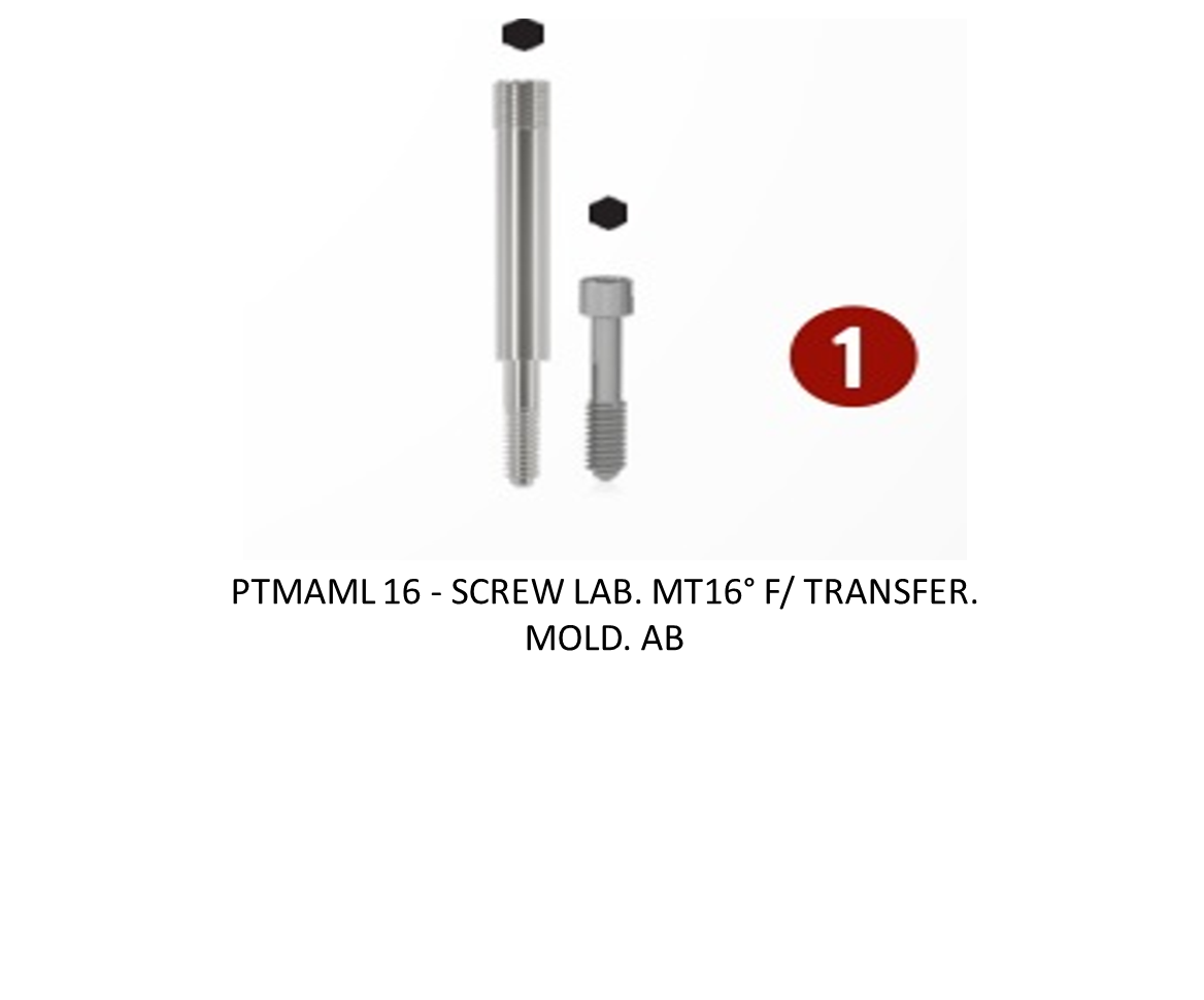 SCREW LAB. MT16° F/ TRANSFER. MOLD. AB.