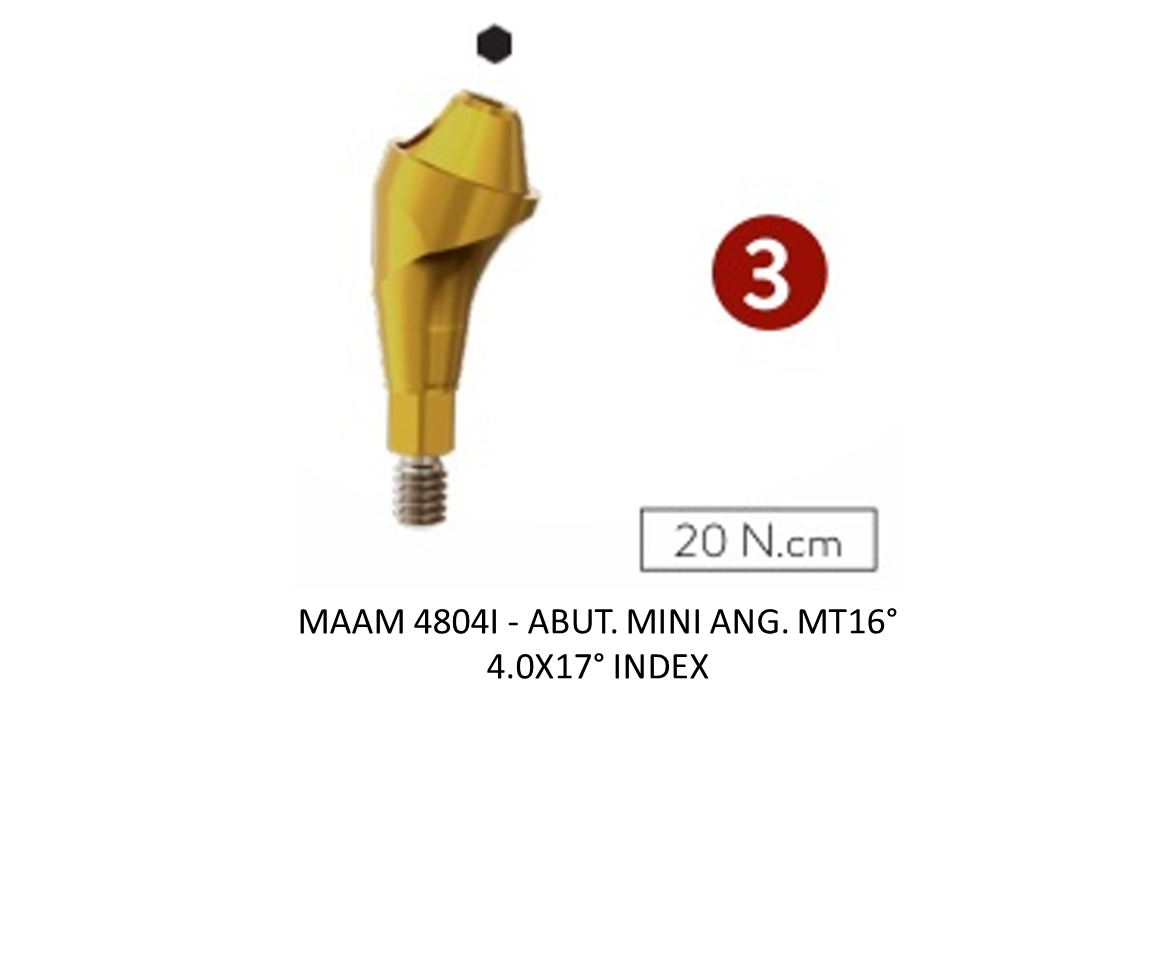 ABUT. MINI ANG. MT16° 4.0X17° INDEX