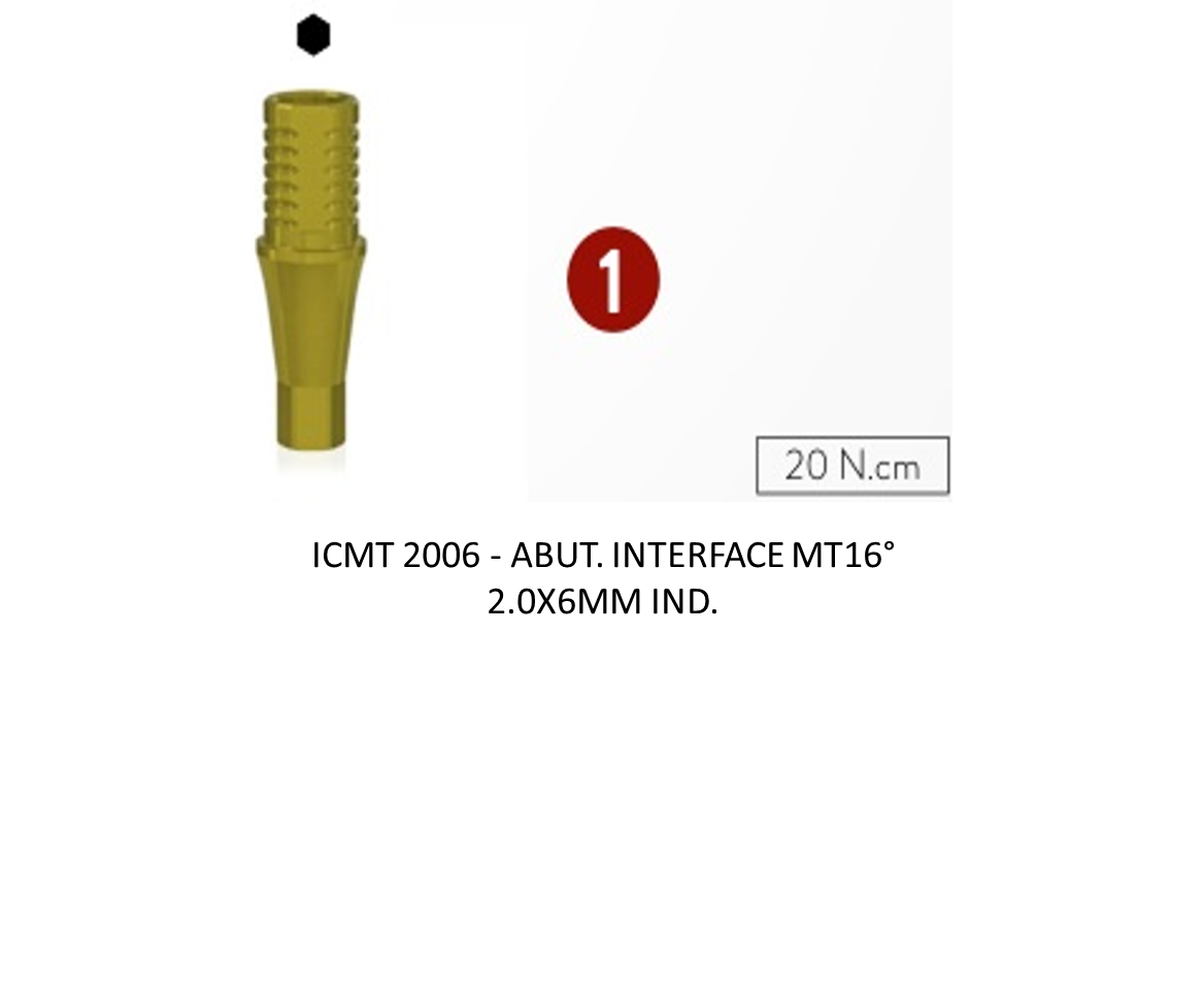 ABUT. INTERFACE MT16° 2.0X6MM IND.