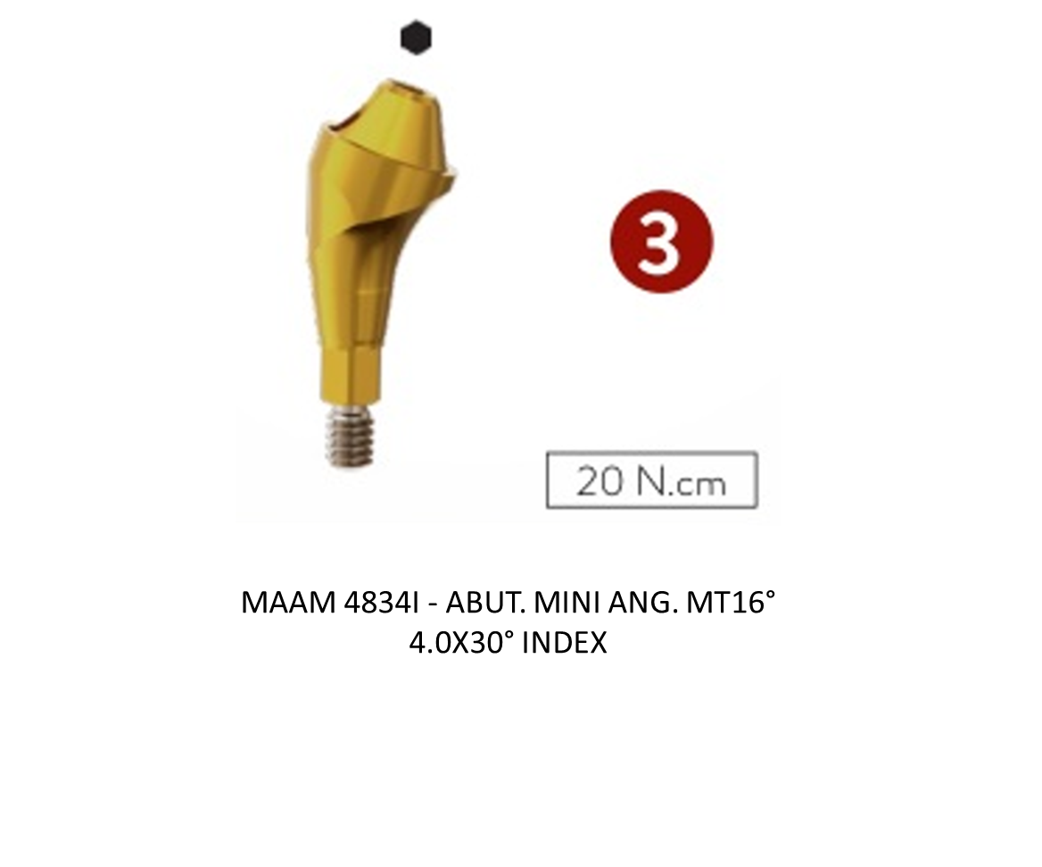ABUT. MINI ANG. MT16° 4.0X30° INDEX
