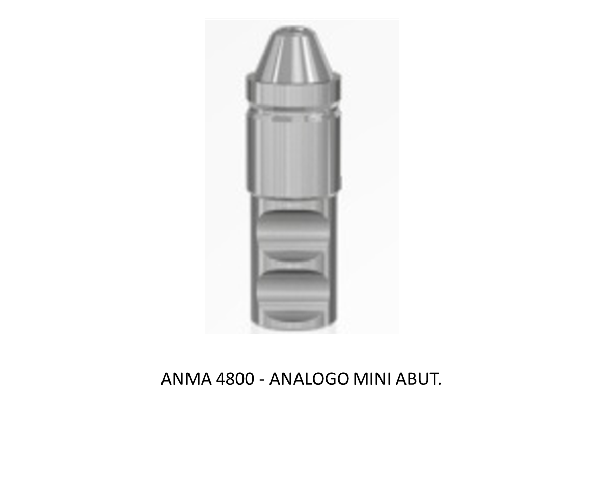 ANALOGO MINI ABUT.