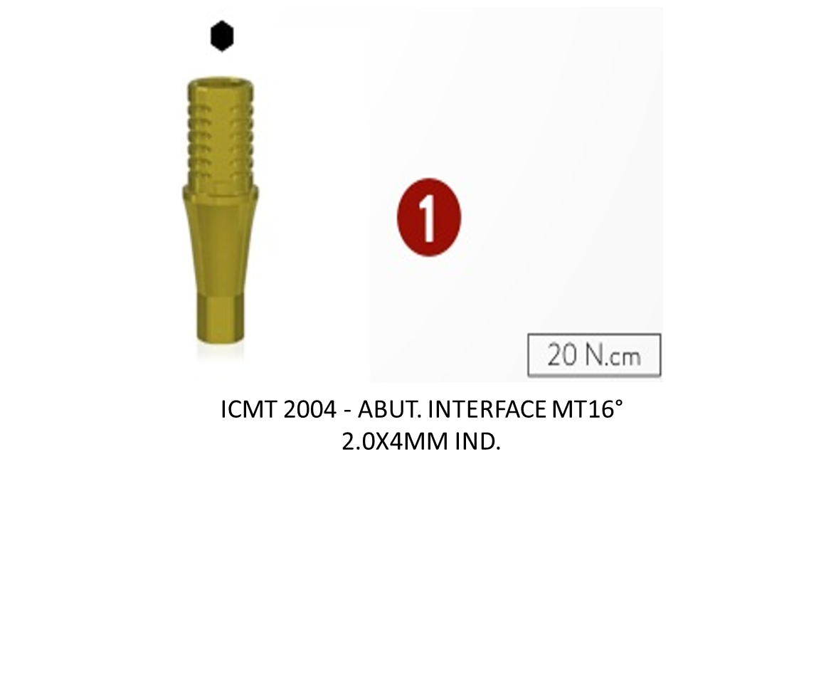 ABUT. INTERFACE MT16° 2.0X4MM IND.