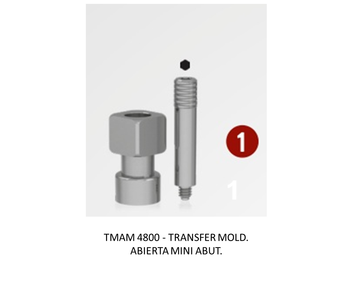 TRANSFER MOLD. ABIERTA MINI ABUT.